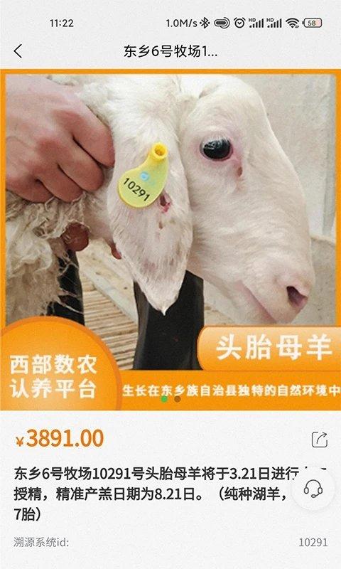 西部数农官方版下载,西部数农,农产品app,生鲜app